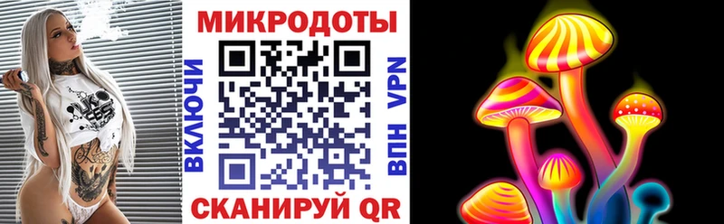 Галлюциногенные грибы Psilocybe  Каменка 